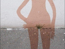 Graffiti sexy : touffe d'herbe sexe femme